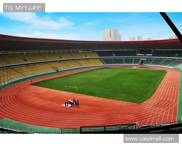 云南体育之光：揭晓云南十大体育明星排名及其成就分析