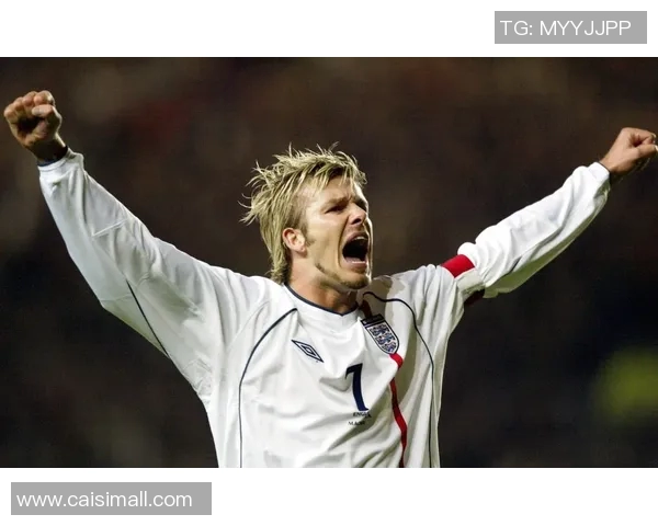 足球明星卡的市场价格分析及收藏价值探讨